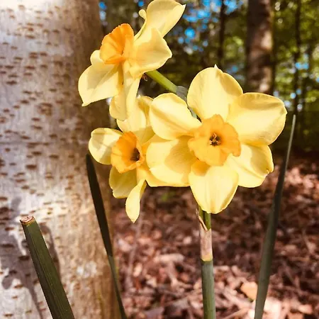 Emda Country Living Close To Legoland